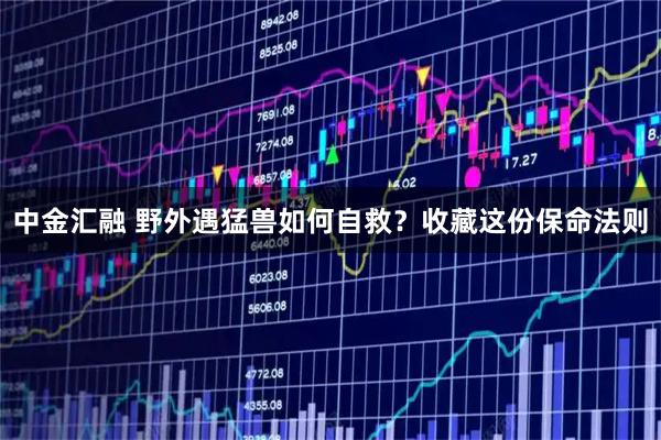 中金汇融 野外遇猛兽如何自救？收藏这份保命法则
