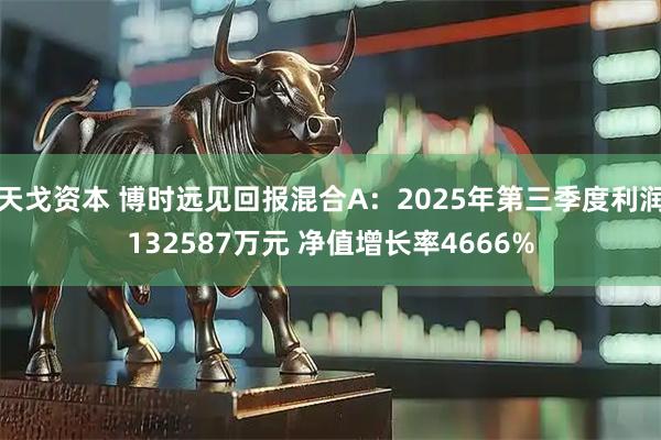 天戈资本 博时远见回报混合A:2025年第三季度利润132587万元 净值增长率4666%