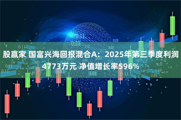 股赢家 国富兴海回报混合A:2025年第三季度利润4773万元 净值增长率596%